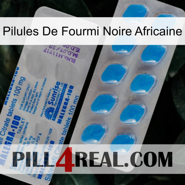 African Black Ant Pills new15